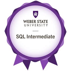 Afbeeldingsresultaten voor SQL Intermediate Course