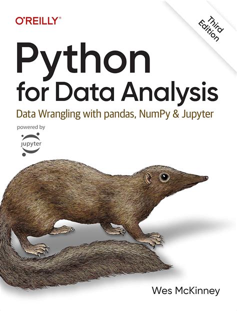 Image result for Python for Data Analysis PDF