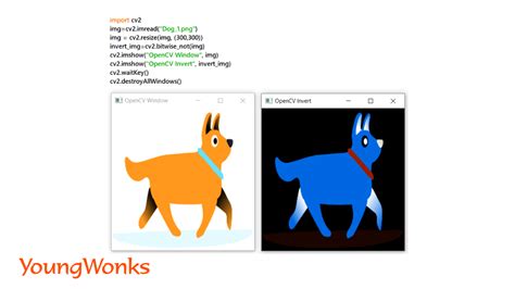 Image result for OpenCV Python Sample Code