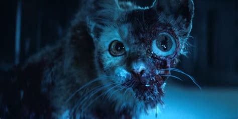 Image result for Alien Eye Monster