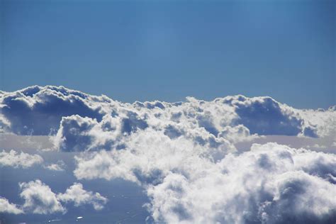 Image result for Soared