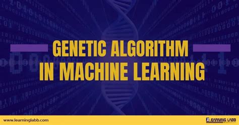 Image result for Genetic Algorithm in Machine Learning