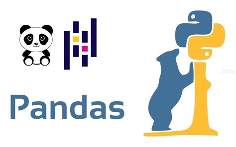 Image result for Pandas Program in Python