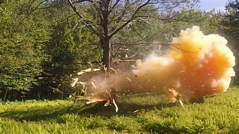Image result for Explosive Tree Exploding