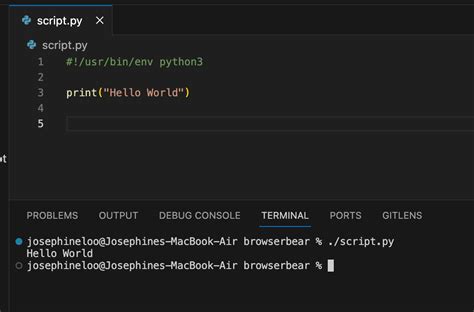 Python Script に対する画像結果