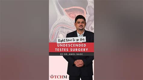 Image result for Testicles Surgery