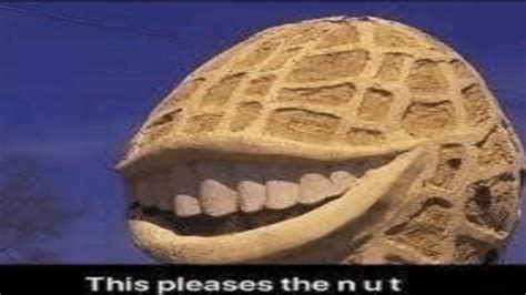 Image result for Alien Meme Sound