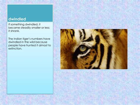 Image result for Dwindled