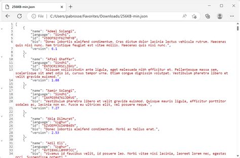 JSON File Example に対する画像結果