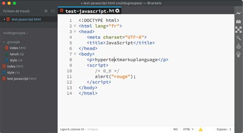 Image result for JavaScript Dans Du HTML