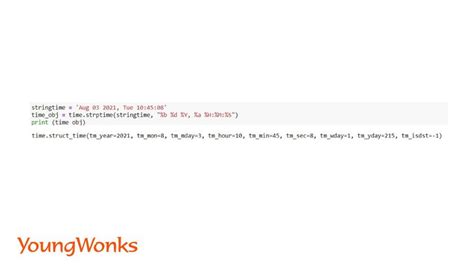 Vertical Time Code in Video Python に対する画像結果