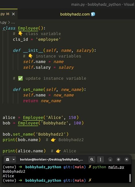 Image result for Instance Variables Python