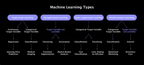 Machine Learning Algorithms: A Beginner's Guide (2025)