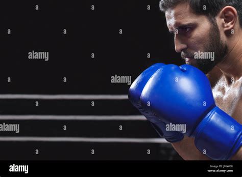 Image result for Boxing Sport