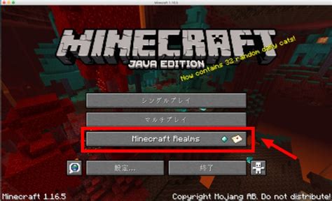 Minecraft Java Source Code に対する画像結果