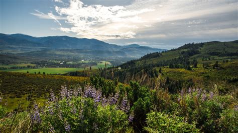 Image result for Party Line Okanogan