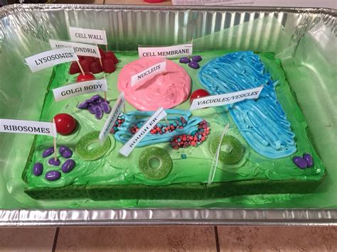 Image result for 3D Plant Cell Model