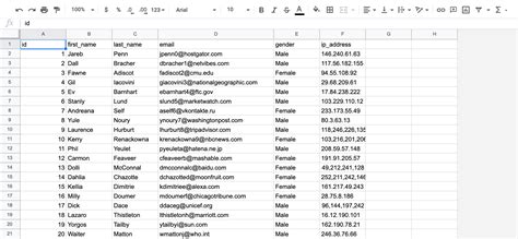 CSV Format Example に対する画像結果