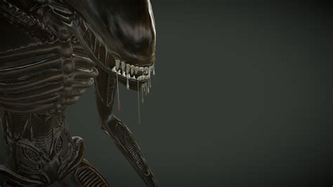 Image result for Alien Xenomorph Model