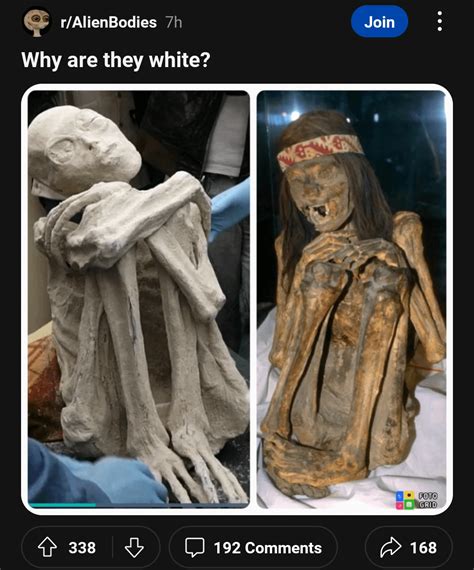 Image result for Alien Racism