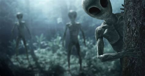 Image result for Alien Life Discovered