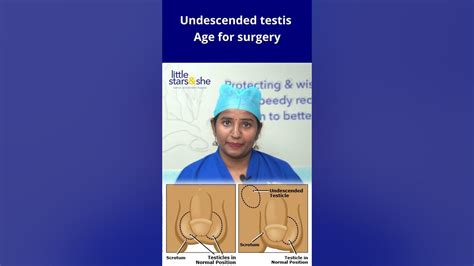 Image result for Testicles Surgery