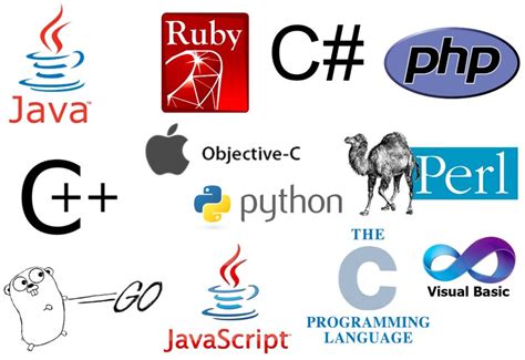 Image result for Basic Computer Programming Software List