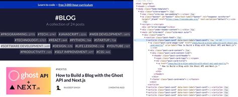 Image result for Random NM JavaScript Code San P Repository API Freecodecamp