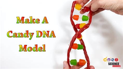 Image result for Genetic Inheritance Free Science Lessons