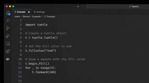 Afbeeldingsresultaten voor Python Turtle Example Codes