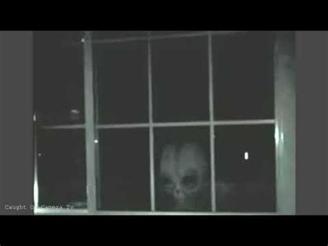 Image result for Alien Face Window