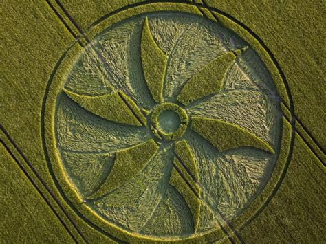 Alien Encounters 2023 に対する画像結果