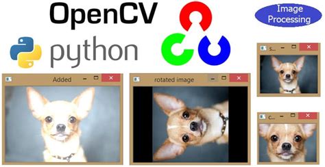 Image result for OpenCV Example Python