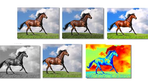 Image result for OpenCV Python Camera