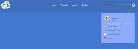 User Profile Display Project Using Python に対する画像結果
