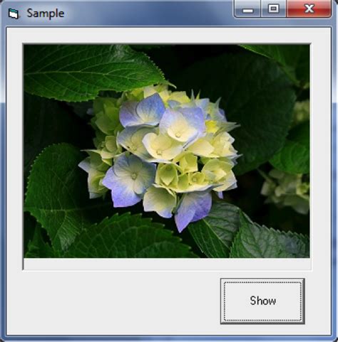 Image result for Visual Basic Graphics Programming