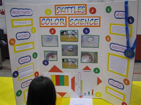 Image result for Elementary Science Project Board Layout
