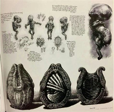 Image result for Alien Design