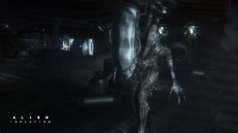 Toradh íomhá ar Alien Isolation Alien