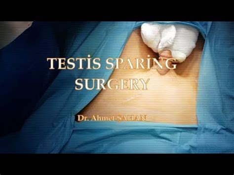 Image result for Testicles Surgery