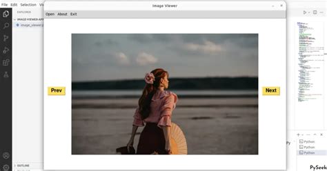 Image result for Python Image Viewer