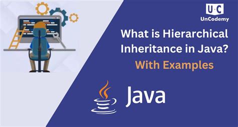 Image result for Java Inheritance Examples