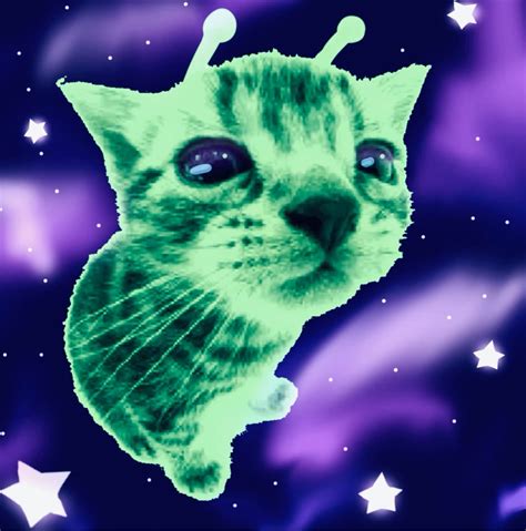 Image result for Alien Cat