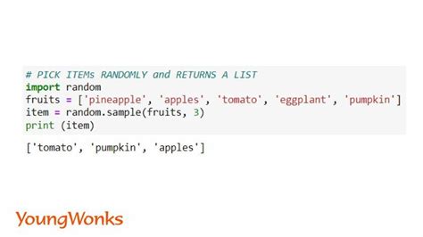 Random Python Code に対する画像結果