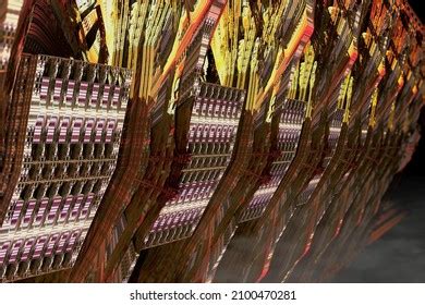 Image result for Alien Side View Vector