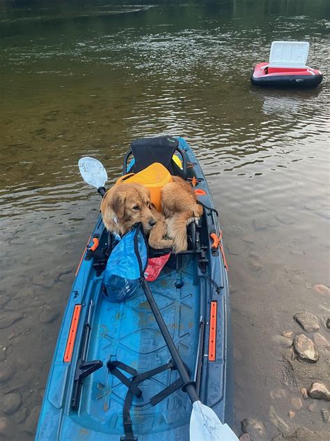 Image result for River Kayaking