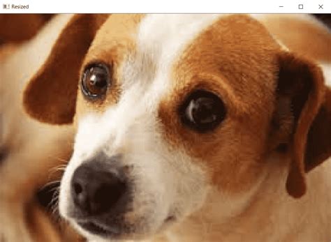 Image result for OpenCV Python Module