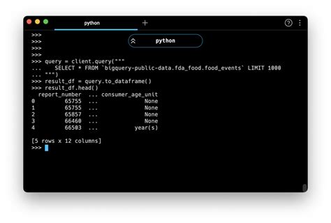Image result for Python Example Code for Data Query