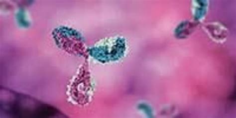 Image result for Computer Model Simulation