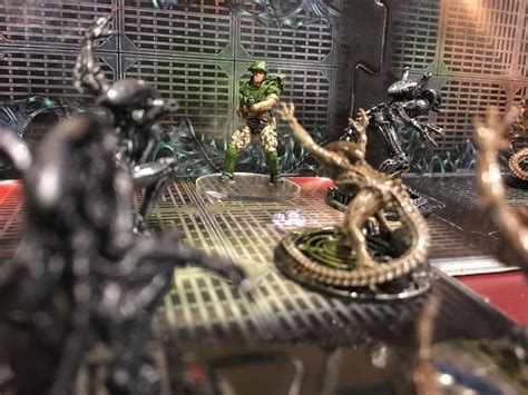 Image result for Alien vs Predator Collection